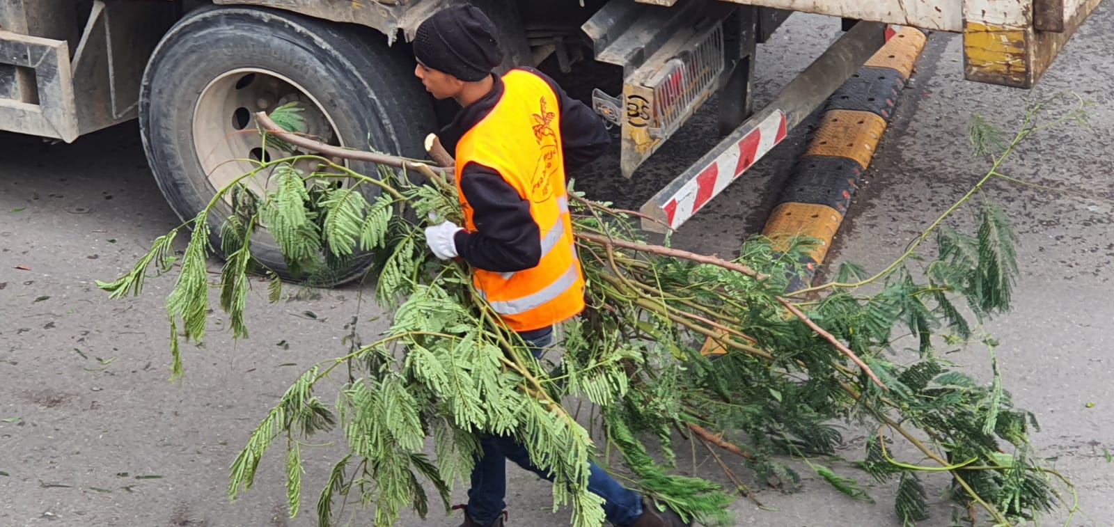 WhatsApp Image 2020-01-29 at 1.18.35 PM (2).jpeg.jpeg